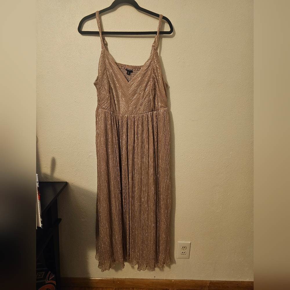 Metallic Champagne Sleeveless Maxi Dress